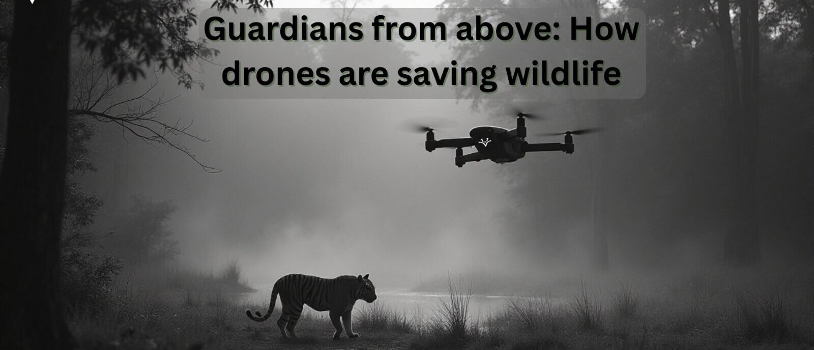 Drones in Wildlife Conservation: Protecting Biodiversity from the Sky